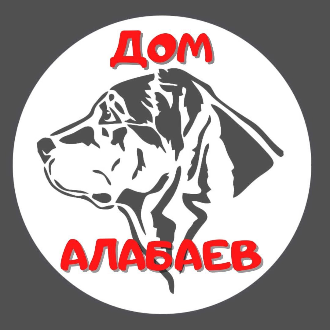 ДОМ   АЛАБАЕВ